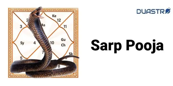 Sarp Puja in Astrology: Unlocking Serpent Energy for Transformation